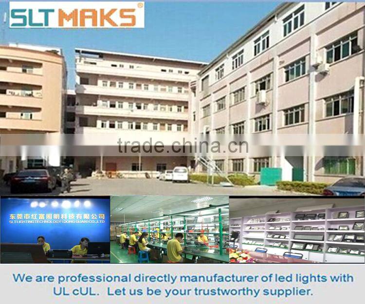 Hot sale IP65 waterproof Bridgelux/Epistar COB 10w outdoor led flood light