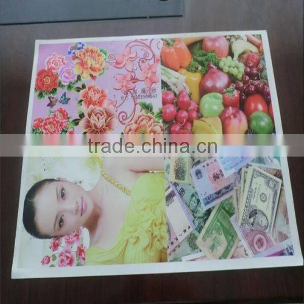 A0/A1/A2/A3/A4 Series Digital printer for fabric with 2880*1440dpi