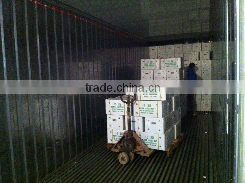 Chinese Water Chestnuts