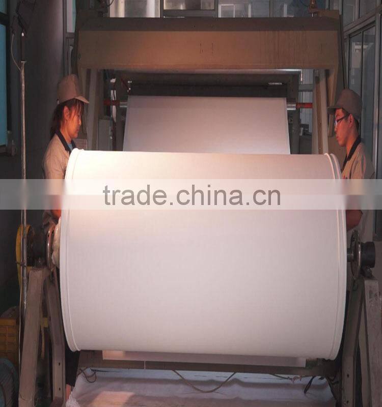 High Resolution Indoor Polyester Inkjet Canvas / Waterproof Non-Woven Fabric for painting