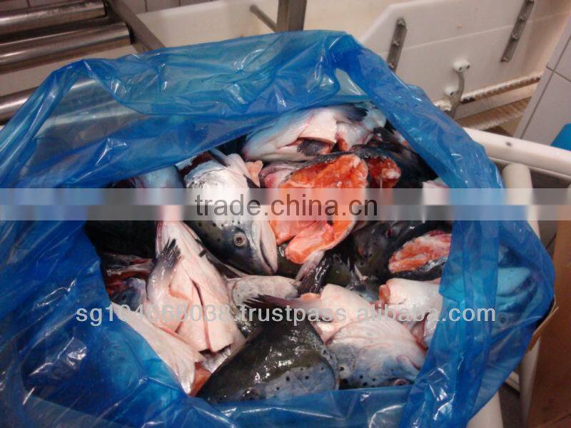 ATLANTIC SALMON HEADS