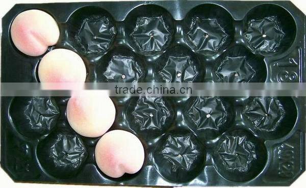 Apple/Peach/Tomato Packaging Liner