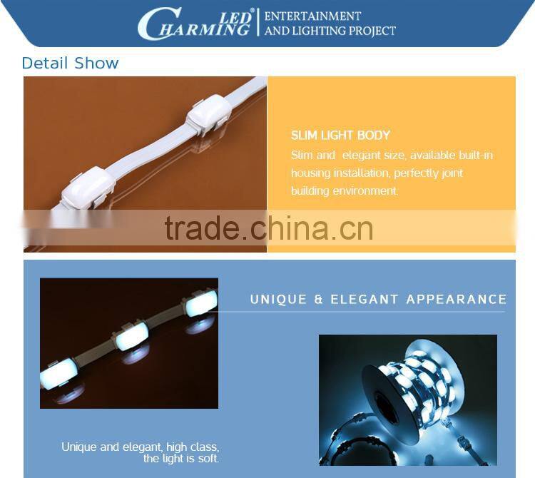 Flexible outdoor building decorative led intelligent running pixel light