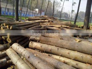 2015 hot selling wood debarking machine,wood debarker