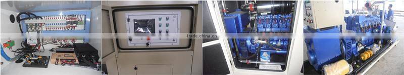 15KW Natural generator from Weifang manufacturer