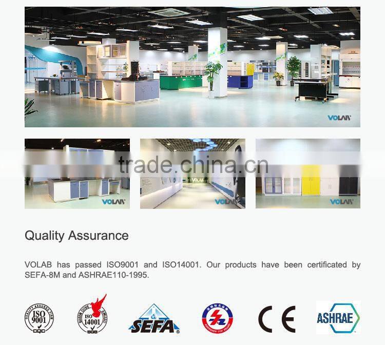 Factory Direct Sale Laboratory Fume Hood Price fume hood cupboard