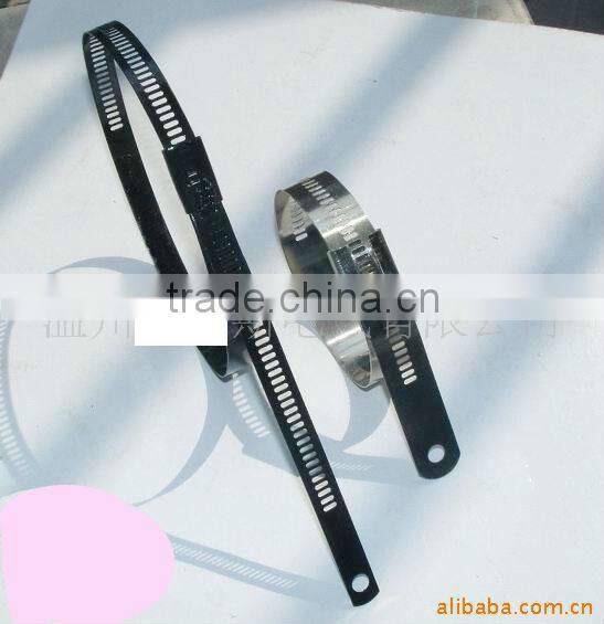 Supply chinl brand Ball-lock stainless Steel Cable Tie (ISO9001 UL)