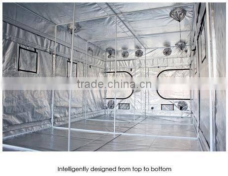 600x300x230cm 20'x10'x7.5' Gorilla Greenhouses