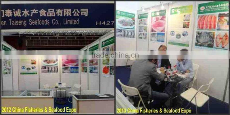 Frozen Indian Mackerel