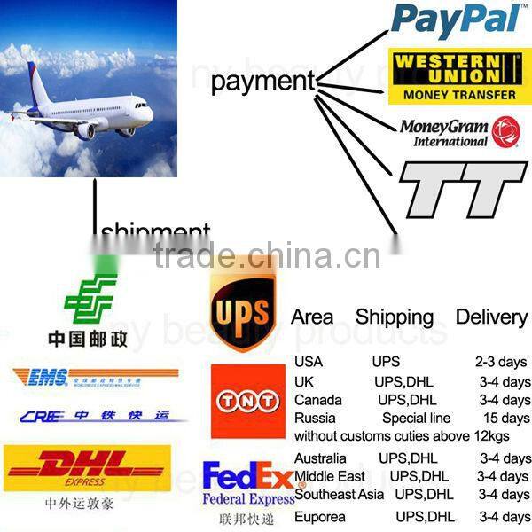 zgts derma roller zgts titanium derma roller zgts