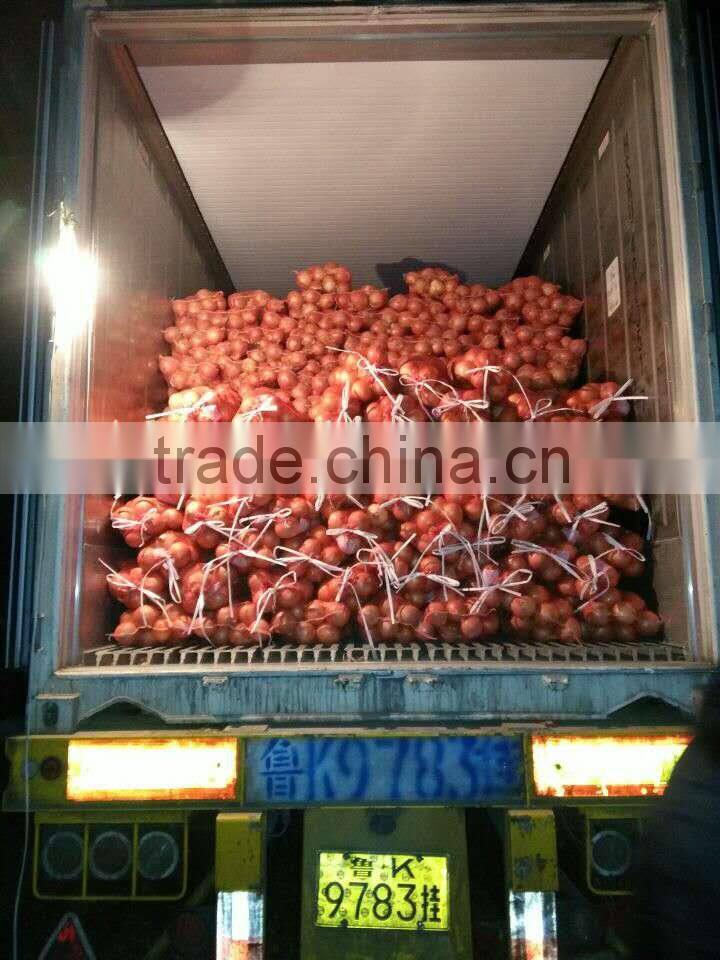 wholesale fresh yellow onion with good quality