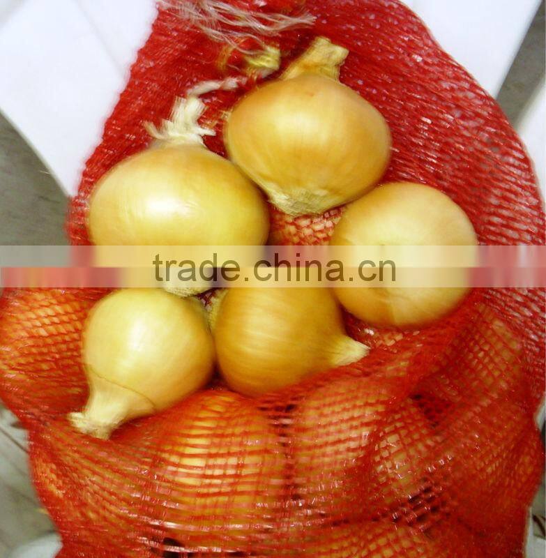 onion ( Red - Yellow - White - spring onion )