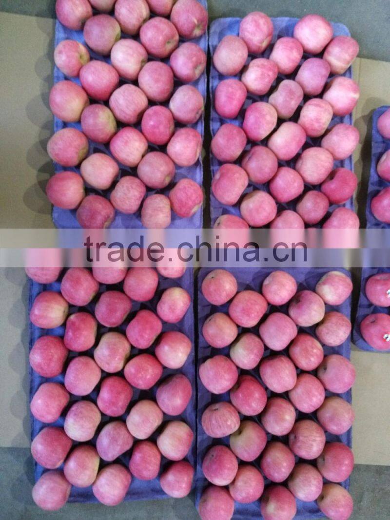 Fuji apples wholesale fruit prices