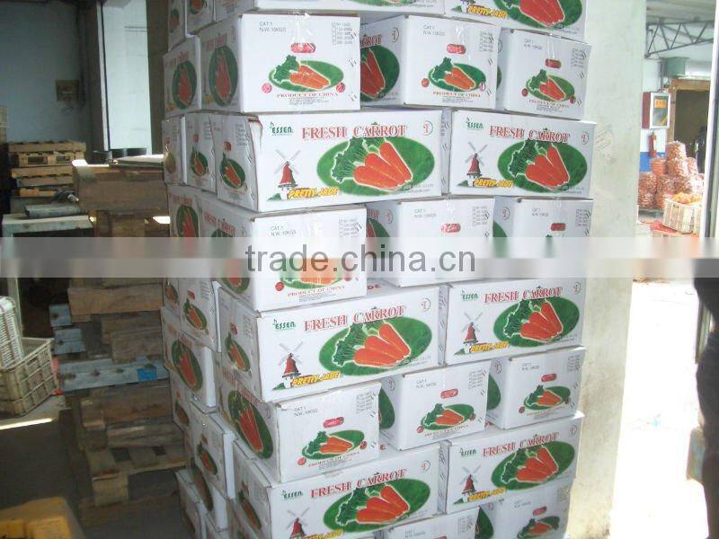 new crop dried sliced carrot