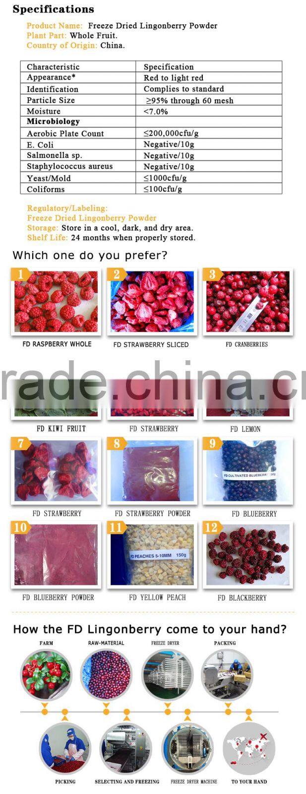 Organic FD Red lingonberry instant drink powder