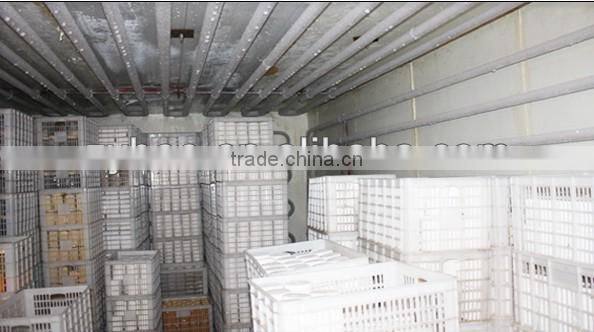 bee royal jelly/honey/propolis/beeswax