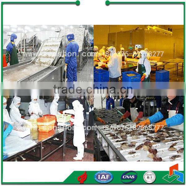 Shrimp Washing and Grading Machine