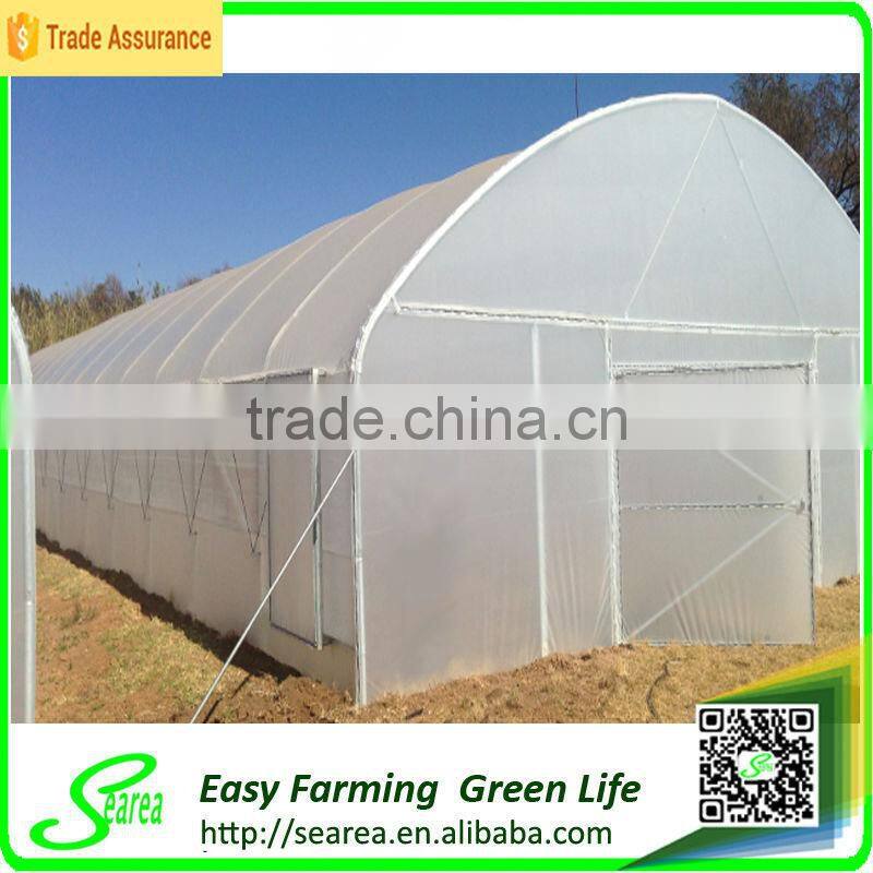 searea Hot sale commerical farming single-span plastic greenhouse