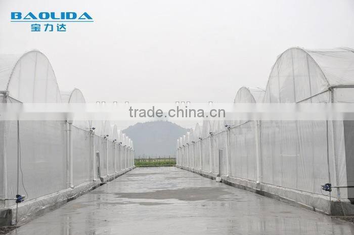 cheap easy multi-span greenhouse pe film green house