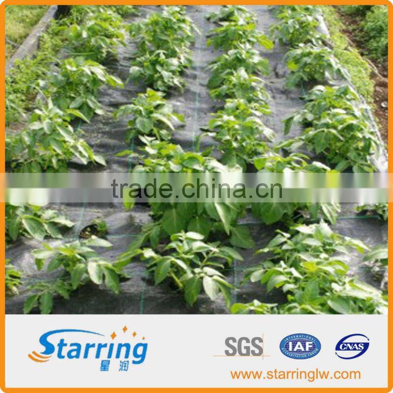 100g PP green-black woven fabric ground cover