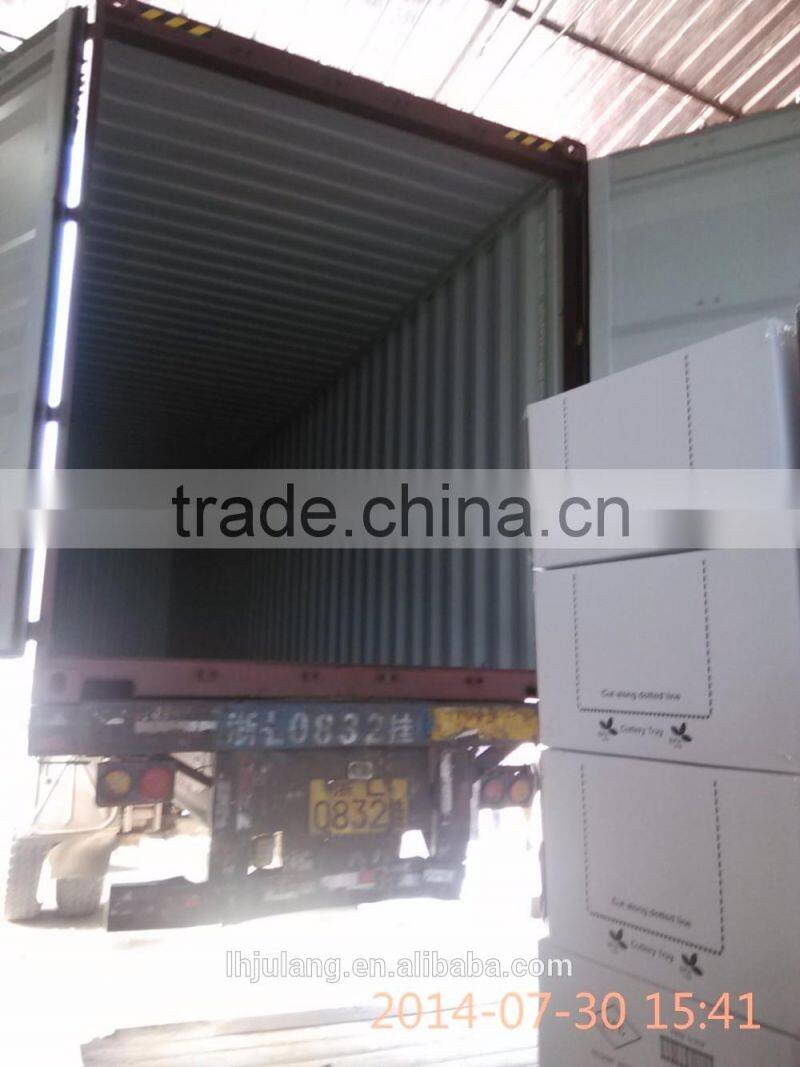 Useful Medium size plastic storage basket, basket storage fruit vegetable basket