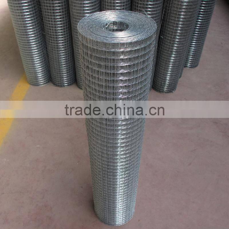 Galvanized Welded Wire Mesh from China factory