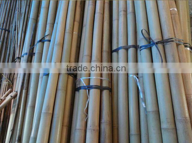 Natural tonkin Bamboo Cane