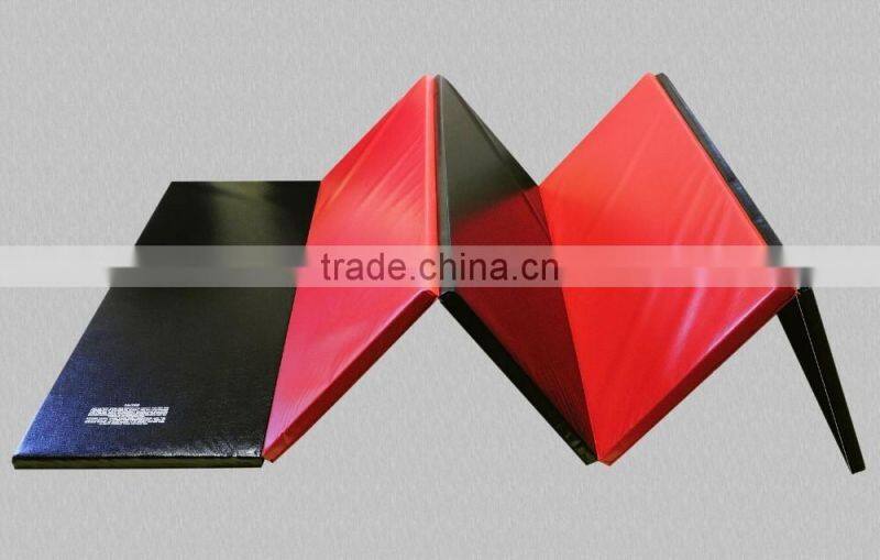 5'x10' Gymnastics, Tumbling, Exercise, Martial Arts, Multi-purpose Mat