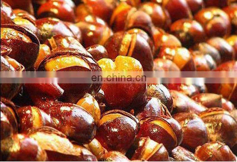 100kg per batch nuts roaster/small gas peanuts roaster machine