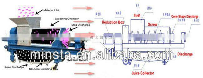 Industrial Fruit Juicer apple Screw juice extractor machine