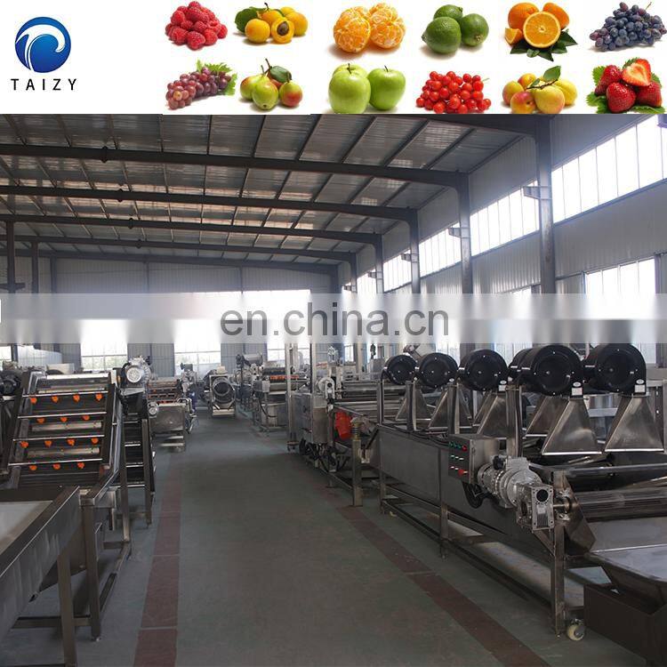 fruit and vegetable cleaning machine fruit washing equipment vegetable bubble washing machine