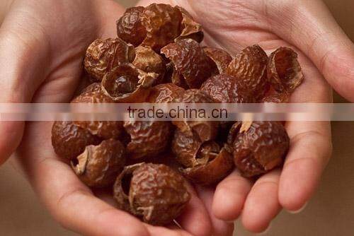 Superior Grade Soapnut Shell At Your Door Step