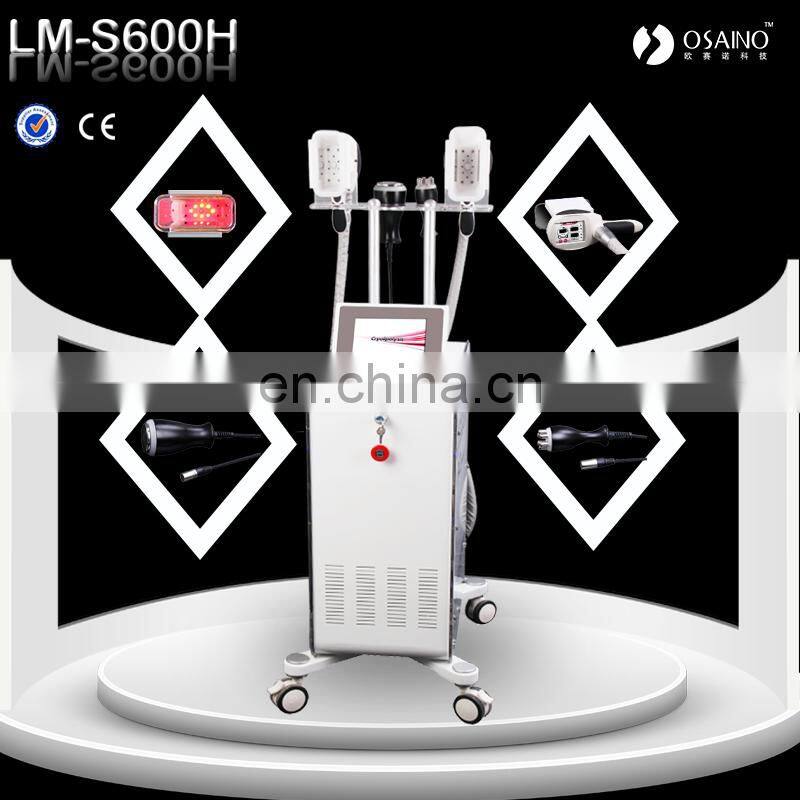 LM-S600H Cryolypolyse fat Slimming beauty Machine for weight loss