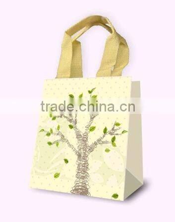 Fancy Gift Bag, Souvenir packaging Bags