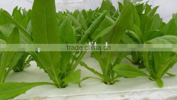 500kg animal fodder hydroponics