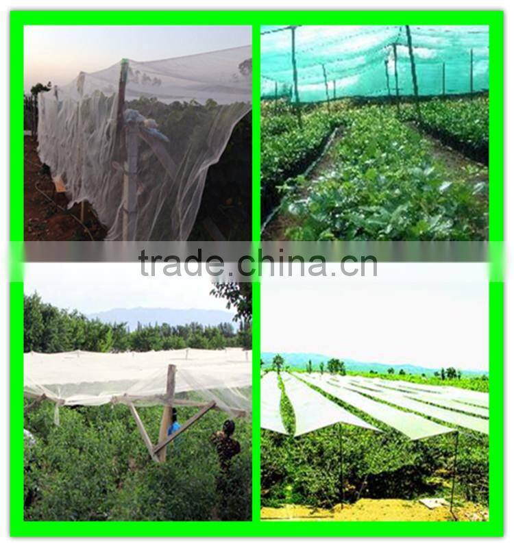 Henan Suntex supply woven anti hail net/white hail proof net/plastic hail guard net