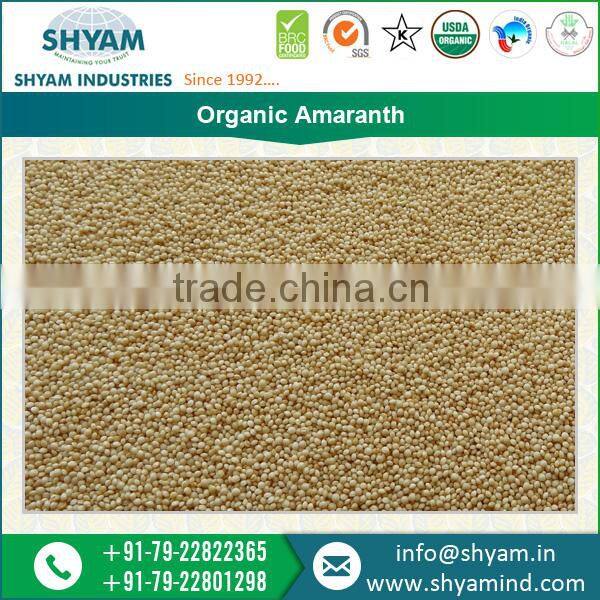 Certified Quality Product Organic Amaranth Seed in New Packings