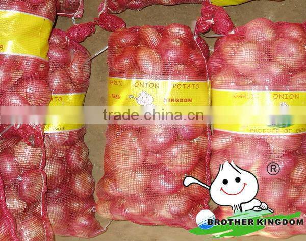2013 China onion price