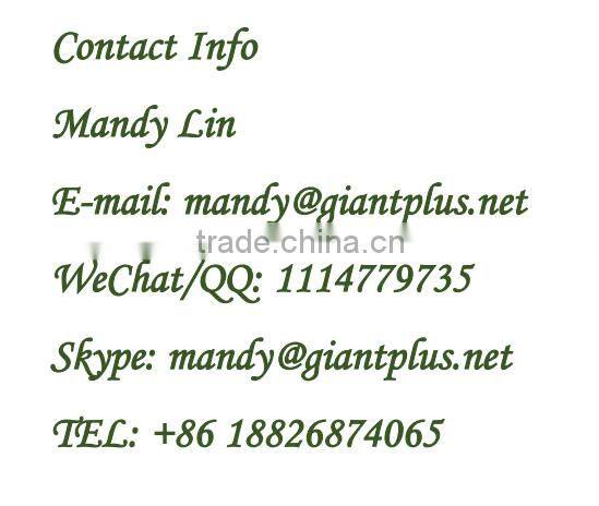 Two seat electric car