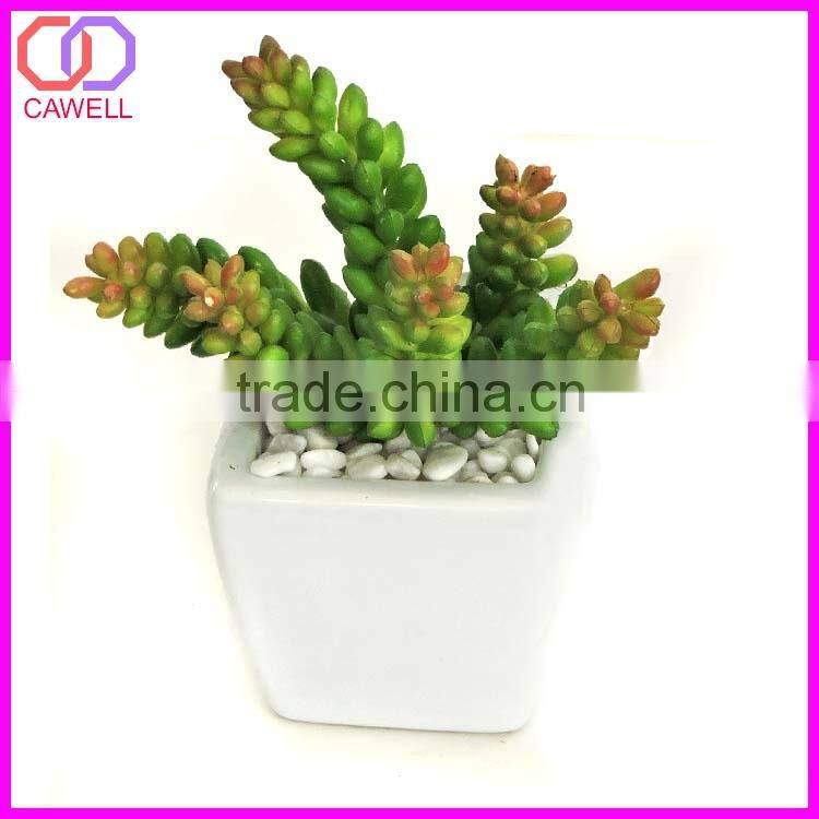 artificial cactus plant cactus succulent
