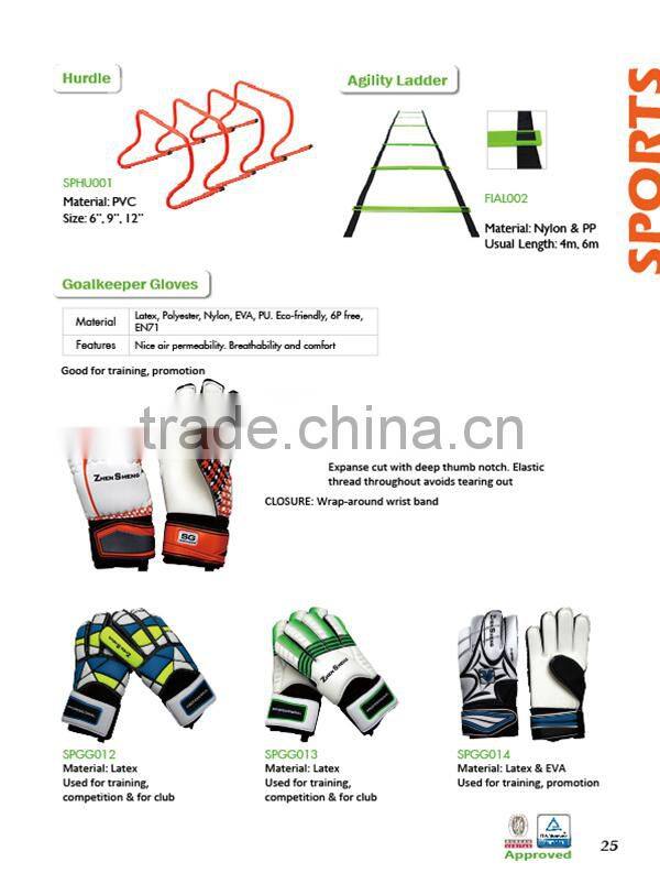 Zhensheng agility cones football training cones