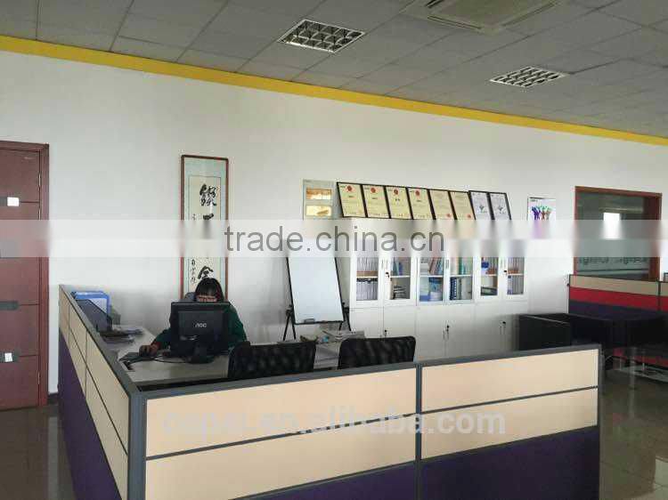 LZD-50 Metal Rotor Flow meter