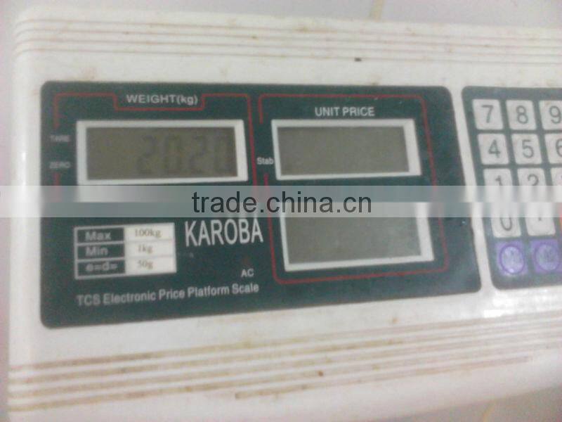 MEXICAN GIANT SQUID WINGS