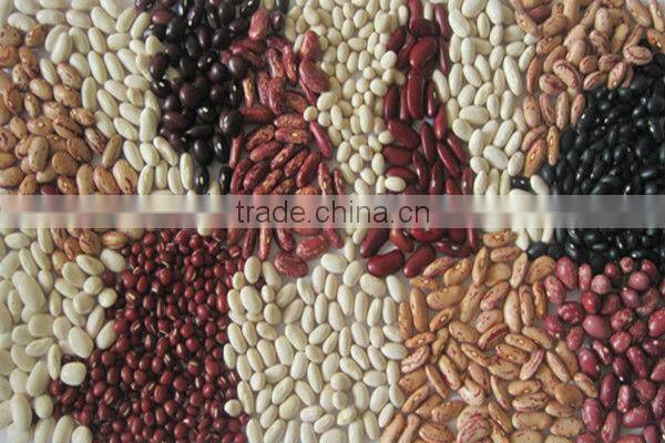 new crop Buckwheat hull price hulled buckwheat price roasted buckwheat price