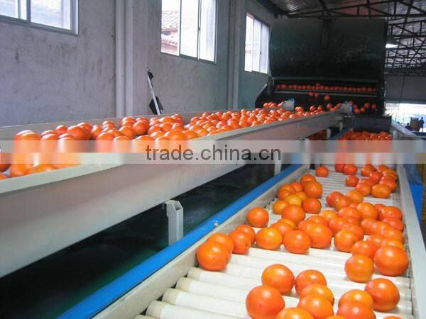 2015 fresh navel orange from jiangxi on sell