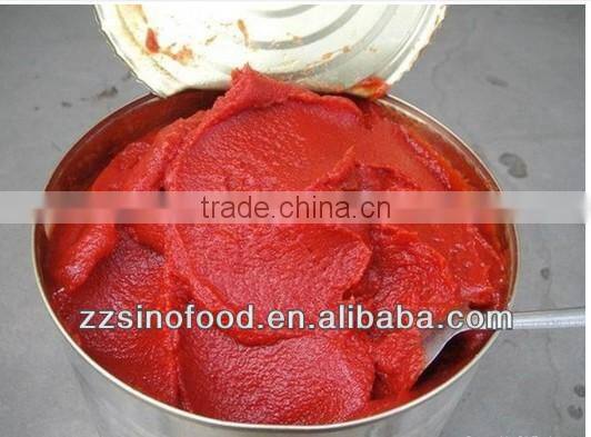 fresh tomato paste canned with very fair price