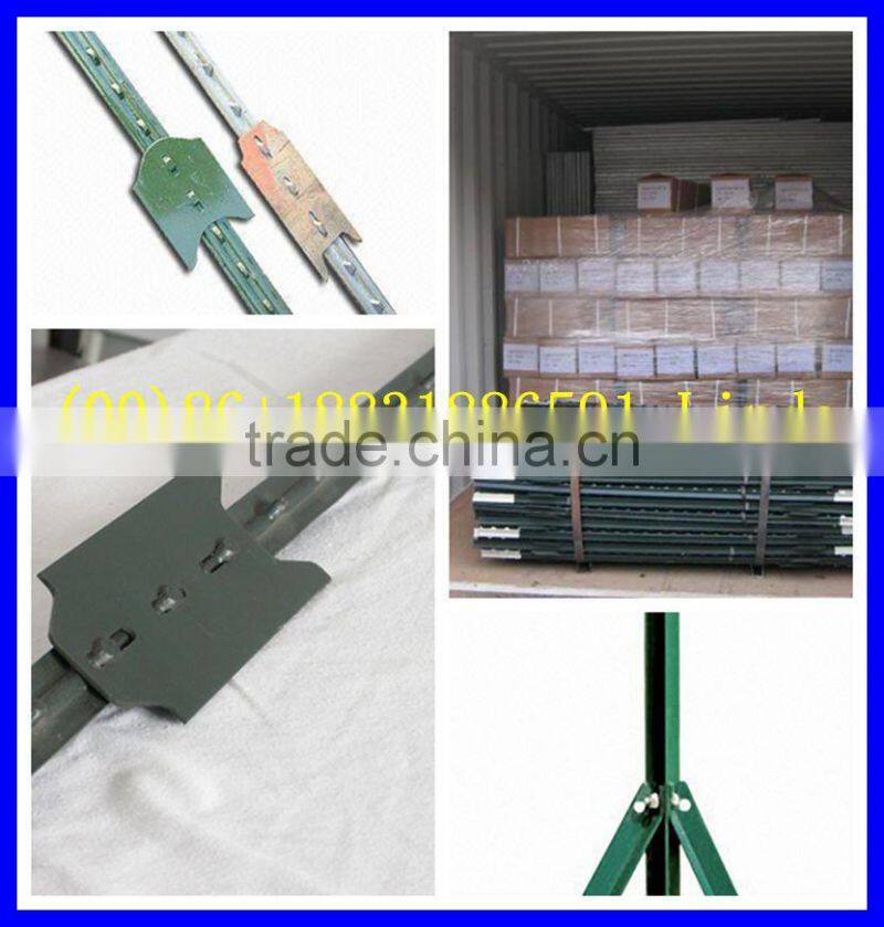 1.25IB/feet studded t post ( Factory & exporter )