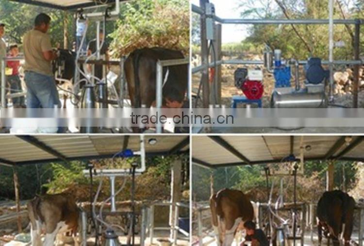 Pail Bucket Milking Machine for Milking Cow,Goat