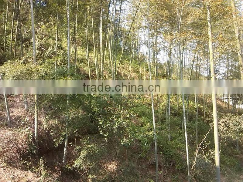 Bamboo charcoal factory smokeless odorless fire BBQ barbecue Shisha