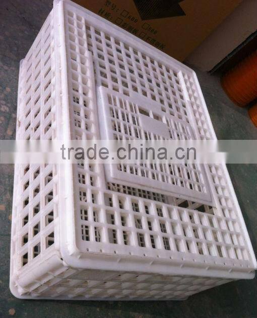 chicken transport box